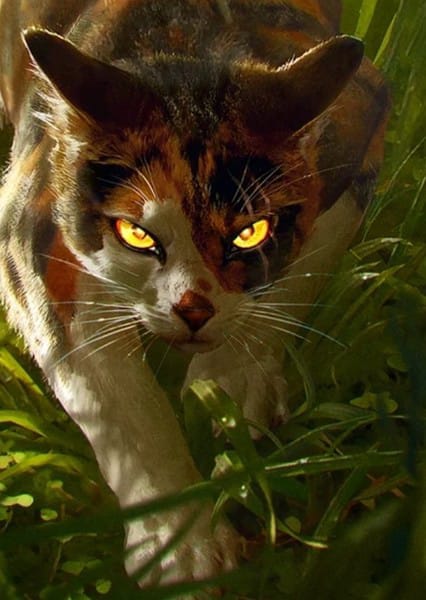 Which Warrior Cats Villain are you? - Quiz