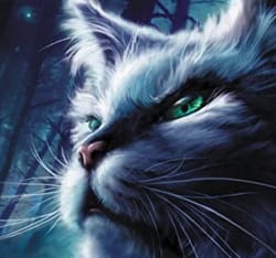 Which Warrior Cat Role Do You Have? - Quiz | Quotev