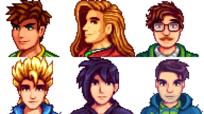 Which Stardew Valley Bachelor Should You Marry Quiz Quotev   47f7r7roey5q 