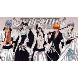 What Captain Is Your Bf/Gf (Bleach)? - ProProfs Quiz