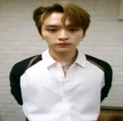 Which Stray Kids member are you? - Quiz | Quotev