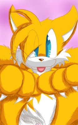 tails the werefox and sonic the werehog