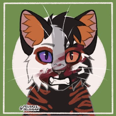 Mo bamba Warrior cat picrews based off songs and marvel au