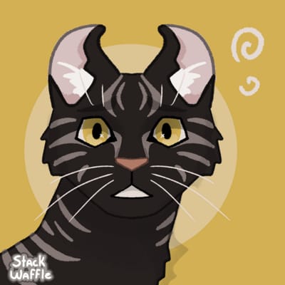 Cat Icon｜Picrew