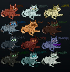 Warrior Cats Quiz: Which 1 of 10 Cats Is Same as You?