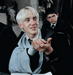 What does Draco Malfoy think of you? - Quiz | Quotev