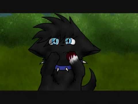 Warrior cats- What does Scourge think of you?