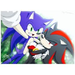 Rido on X: Be my eyes, and i'll be your voice. I remember a fanfic about  shadow being mute and sonic being blind [ #sonadow ]   / X