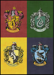 What Is Your Harry Potter House? - Quiz | Quotev