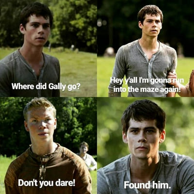 Maze runner are you immune? - Quiz | Quotev