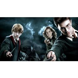 How well do you know Harry Potter? - Test | Quotev