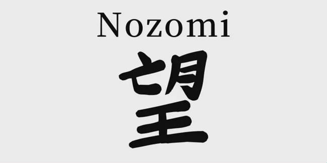 Nozomi - Name Meaning | The Thorned Rose | Fate- Hexalogy Prequel