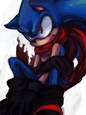 Hey Sonic fans,what do you guys think about faker Sonic from the