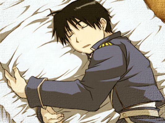 The General Wants to Hug and Sleep Novel Manga  AnimePlanet
