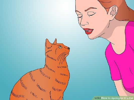 3 Ways to Capture an Angry or Upset Cat - wikiHow
