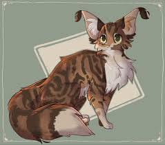 Warrior Cats Quiz: What Is My Warrior Cat Name?