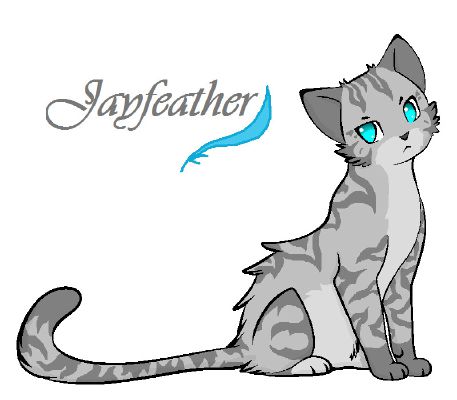 Jayfeather  Warrior Cats