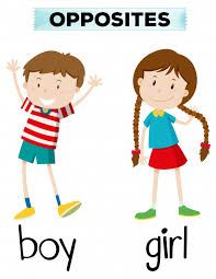 Are you a true boy or girl? (PLEASE READ DESCRIPTION) - Quiz | Quotev