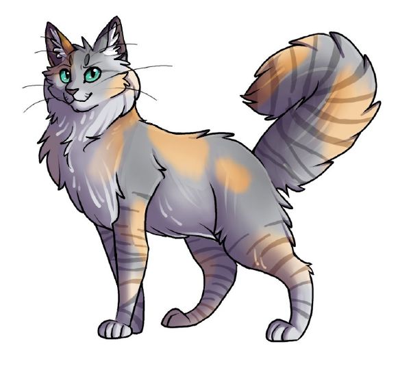 What is your warrior cat life? (Shecats only!) 3 Quiz Quotev