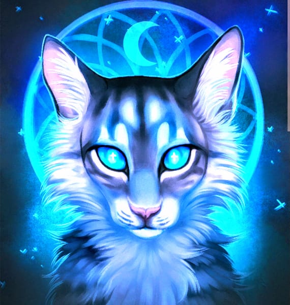 Your Warrior Cat Life Quiz Quotev