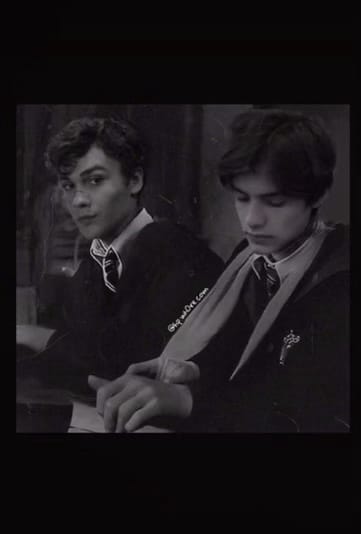 Who s Your Harry Potter Boyfriend Quiz Quotev