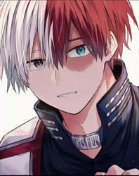 How well do you know Shoto Todoroki?! - Test | Quotev