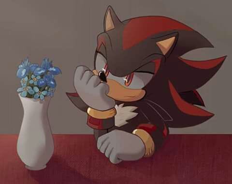 Sonic X: Shadow by FanFictionist - Fanart Central