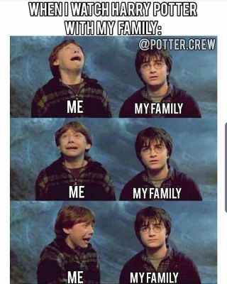 Harry Potter Funny Memes 