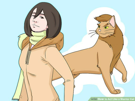 How to Draw Anime Cats: 6 Steps (with Pictures) - wikiHow