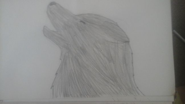 evil wolf drawing