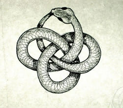 slytherin promisses, bartylus - snake tatto - Wattpad