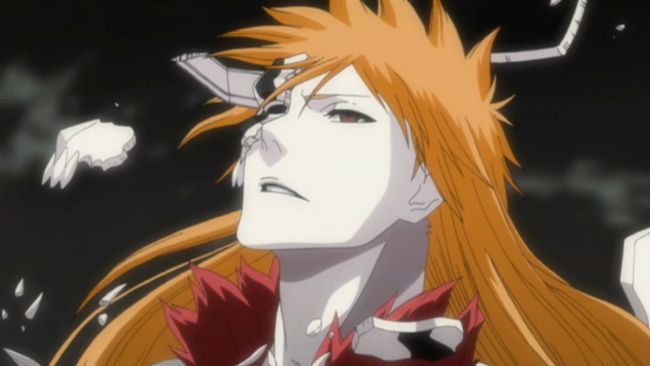 So if Ichigo became a Vasto Lorde, then that makes this an