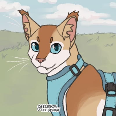 felidaze's cool cat creator｜Picrew