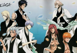 What Captain Is Your Bf/Gf (Bleach)? - ProProfs Quiz