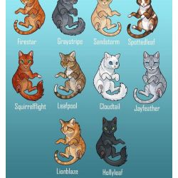 Which Warrior Cat Clan Do You Belong In?