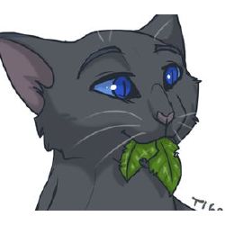 Examining Jayfeather and My Honest Opinion by Mistheart – BlogClan