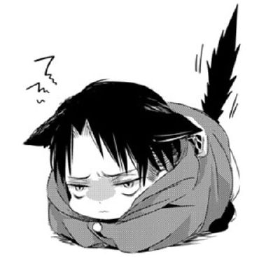 Neko! levi x Reader " chubby, just fluffy" ~ Reposted~ | x drabbles | Quotev