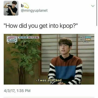 Pick some memes and get a kpop group - Quiz | Quotev