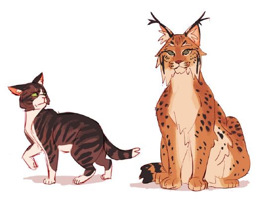 Body language in warrior cats  warrior cats: an ultimate guide