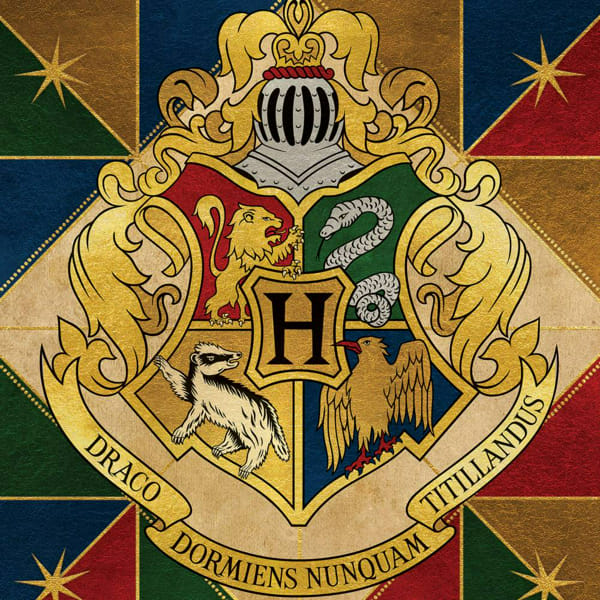 Your government assigned Hogwarts house quiz! Quiz