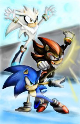 I'm never going back part 5 (Sonic, Silver and Shadow wwffy) - Quiz ...