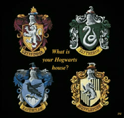 What is your Hogwarts house? - Quiz | Quotev