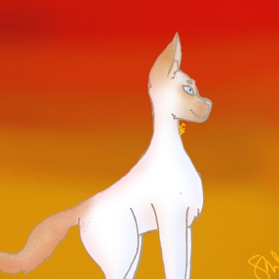 Froststar by Caracal, 100 Warrior Cats Challenge (Closed, apologies)