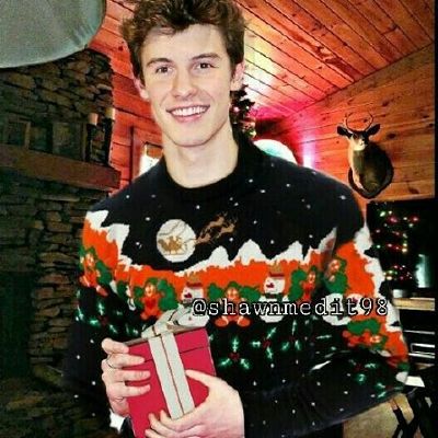 Shawn mendes christmas clearance sweater