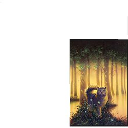 Warrior Cat Quiz Test Quotev