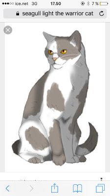 Bfb warrior cats day #2: x (cat name: puddlefoot