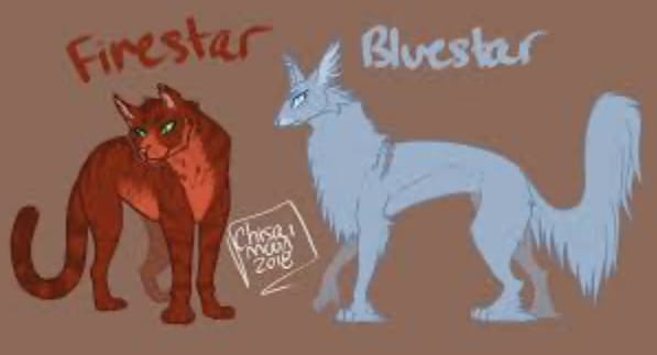 Bluestar!! I'm doing the 100 warrior cat challenge and Bluestar is