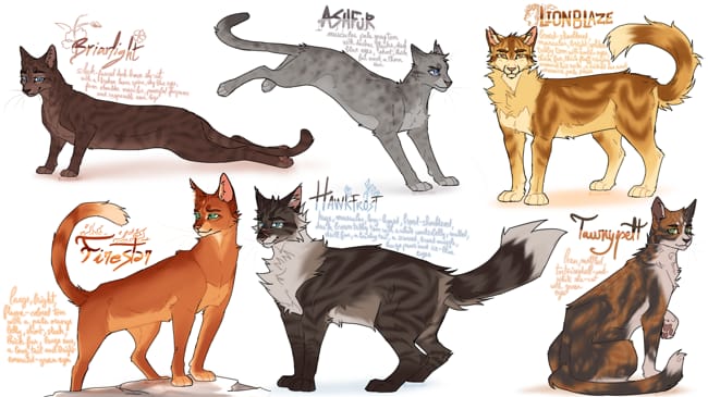 Warrior Cats Name And Appearance Generator