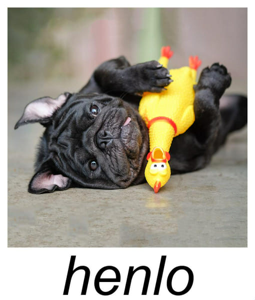 What is your zodiac sign? Quiz Quotev