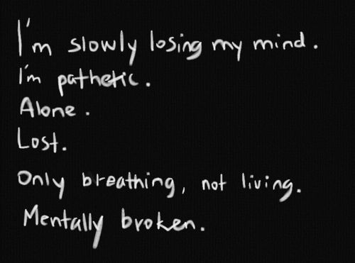 Midnight shadow | Quotev